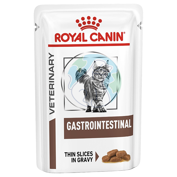 پوچ گربه سس سالسا 85گرمی Gastro intestinal royal canin